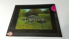 Glass Magic Lantern Slide OOG AFRICAN KILLING FIELDS ELEPHANT IN THE MIST DEATH picture