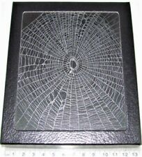 Orb weaver spider web framed preserved USA W7 picture