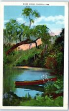 Postcard - River Scene, Florida, USA picture