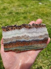 Gorgeous old stock Seam #1 Prudent Man Plume Agate Slab, unpolished. picture