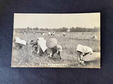 Rice Field, Farming Workers near MANILA Philippines RPPC picture