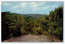 Olive Hill Kentucky Postcard Carters Cave State Park View From Top Hawk's Nest picture