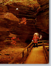 Witches Gulch Indian Brave Traditional Dress Wisconsin Dells Postcard UNP picture