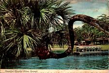 Glass Bottom Boats, Silver Springs, Florida FL 1976 chrome Postcard picture