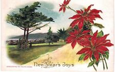 California New Year Poinsettia Pacific Ocean Overlook 1910  picture