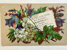 VICTORIAN TRADE CARD NEW YORK HAIR STORE ROCHESTER NY c1880s HYDRANGEA A88 picture