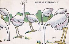 Where Is Everybody Ostrich Comicard by Clem Postcard 1957 Long Beach CA D04 picture