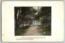 Manchester, NH - A Walk at Pine Island Park - Vintage Postcard - Unposted picture
