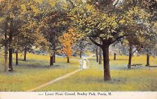 Peoria IL Illinois Laura Bradley Park Botanical Garden Downtown Vtg Postcard B31 picture