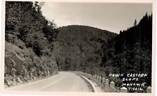 Mohawk Trail Down Eastern Slope RPPC Real Photo 1940 MA  picture
