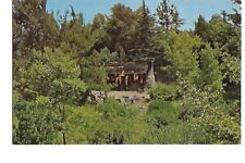 Vintage Postcard Disneyland Burning Settlers Cabin picture