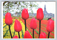 Vintage Postcard Tulips Gardening Dutch Gardens Adelphia New Jersey picture