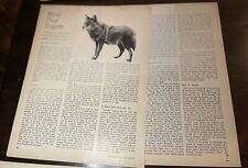 Vintage Article On The Coyote picture