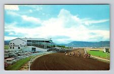 Raton NM-New Mexico, La Mesa Park, Horse Racing, Antique Vintage Postcard picture