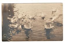 RPPC Flock of Ducks Boothbay Harbor MN Labbie Picture Shop Antique Postcard picture