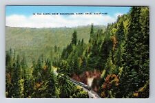 Santa Cruz CA-California, Santa Cruz Mountains, View of Canyon Vintage Postcard picture