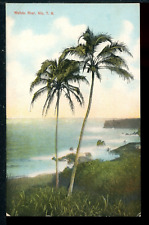 Early Hamakua Coast Wailuku River Hilo Big Island TH Hawaii Vintage Postcard picture