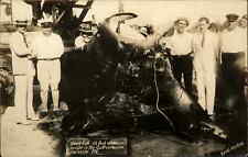 Sarasota FL Florida Massive Devil-Ray Devilray Fish Fishing Catch c1930 RPPC picture