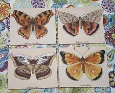 Moth Species Print On Canvas - Set Of 4 - Each 10