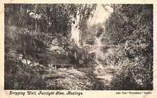 Vintage Postcard 1910s Dripping Well Fairlight Glen Hastings Sussex England UK picture
