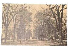 Sharon CT Connecticut~2 Century Old Green in Spring~1930s Vintage Postcard picture