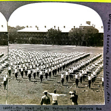 c1910s WWI Healthy Physical Education of Prepared Army Soldiers Stereo Card V4 picture