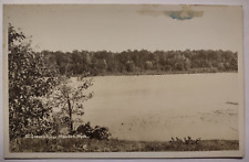Vintage Postcard RPPC St Joseph River Mendon Michigan picture