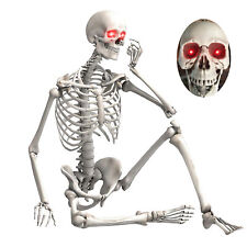 5.5ft Halloween Posable Life Size Human Skull Skeleton Sound Activated LED Eyes picture