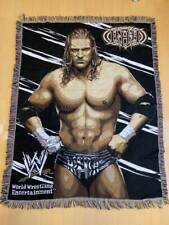 WCW WWF WWE AEW NJPW Pro Wrestling HHH Triple H Curiosities Vintage Rug Rare P picture