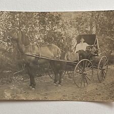 Antique RPPC Real Photograph Postcard Handsome Man Horse Drawn Wagon Buggy picture