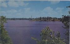 Postcard MI Adrian Lake Adrian Electric Tower Lakeside Houses ￼1043 picture