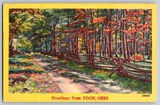 Edon Ohio OH - Greetings - Road View - Landscape Scenery - Vintage Postcard picture