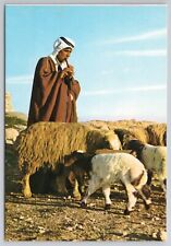 Postcard A Shepherd Boy Guarding His Flock Jerusalem Israel Sheep picture