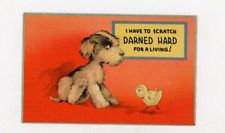 Vintage Dog Postcard  PUPPY AND CHICK SCRATCH HARD LIVING  LINEN  UNPOSTED picture