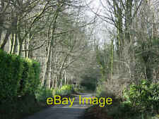 Photo 6x4 2008 : Beech Road, Box Hill Box Hill/ST8369 A well named lane. c2008 picture