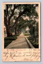 Pasadena CA-California, Scenic View Marengo Avenue, Antique Vintage Postcard picture