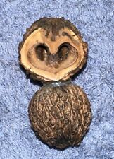 Handmade Walnut Owl Refrigerator Magnet  picture
