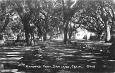 Postcard 1940s California Sunland Park RPPC real photo 22-12383 picture