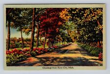 Kent City MI-Michigan, General Greetings Road, Antique, Vintage c1942 Postcard picture