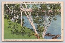 Greetings from Bay View Mich Linen Postcard No 4061 picture