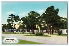 Nokomis Florida Postcard Pine Court Exterior View Building c1940 Vintage Antique picture