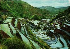 Vintage Postcard 4x6- Rice Terraces, Philippines picture