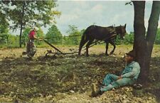 Ozarks Living Hillbilly Style - Humor - Woman Working - Man Sleeping picture