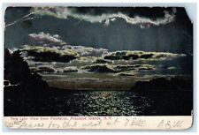 1907 New Lake View From Frontenac Thousand Islands New York NY Antique Postcard picture