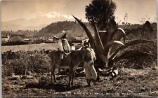 RPPC POSTCARD MEXICO-TWO YOUNG MEN AND BURRO MOUNTAINS IN THE BACKGROUND picture