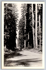 Vintage Postcard WA Highway Through Timber of Washington RPPC ~13419 picture