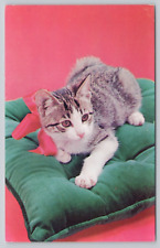 Postcard Kitty on a green cushion Cat Kittens picture