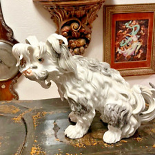 Antique 19th Century Dresden Porcelain Bolognese Hound Meissen Style (2) picture