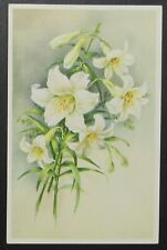 Flowers Lily Alfred Mainzer Vintage Postcard Unposted  picture