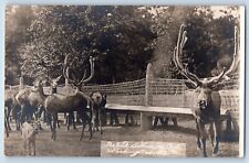 Washingtonville PA Postcard RPPC Photo The Elk Billmeyers Park c1910's Antique picture